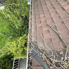 Gutter-Cleaning-in-Pullman 2